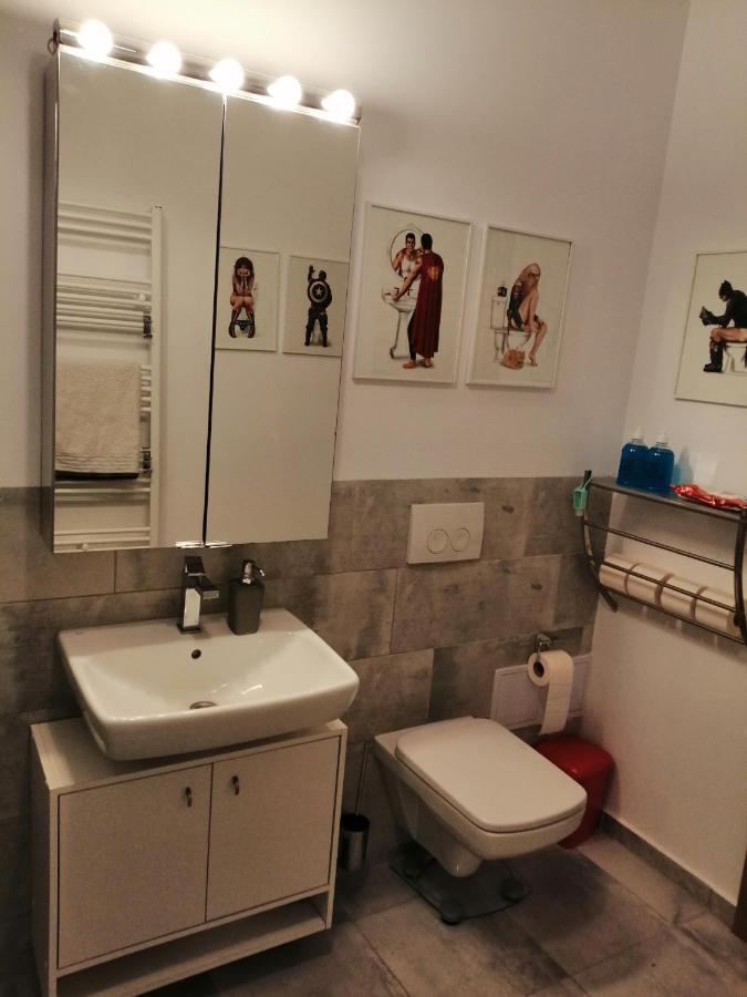 Maurer Loft Διαμέρισμα Târgu-Mureş Εξωτερικό φωτογραφία