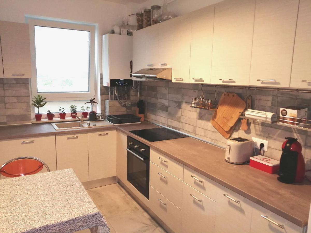 Maurer Loft Διαμέρισμα Târgu-Mureş Εξωτερικό φωτογραφία