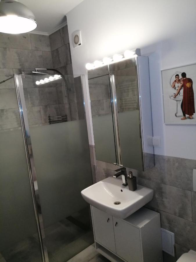 Maurer Loft Διαμέρισμα Târgu-Mureş Εξωτερικό φωτογραφία