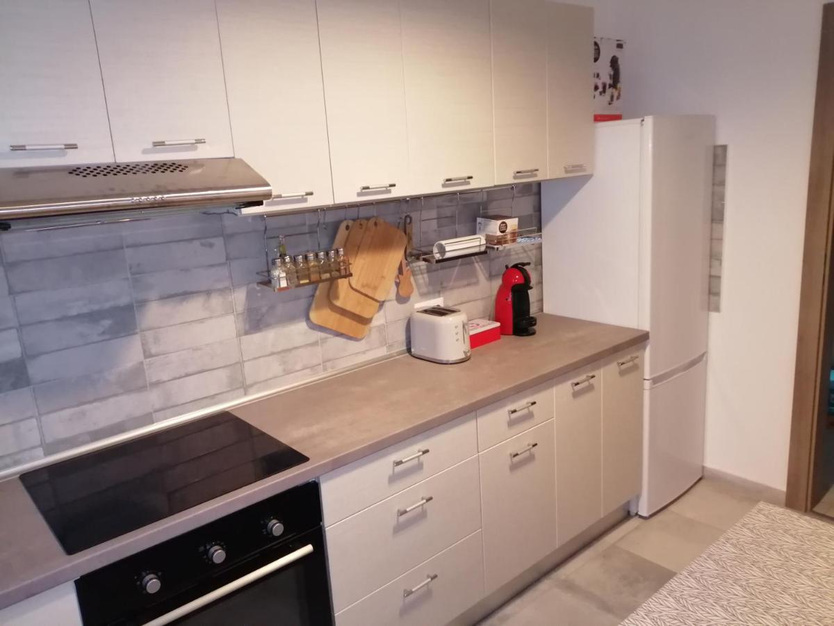 Maurer Loft Διαμέρισμα Târgu-Mureş Εξωτερικό φωτογραφία