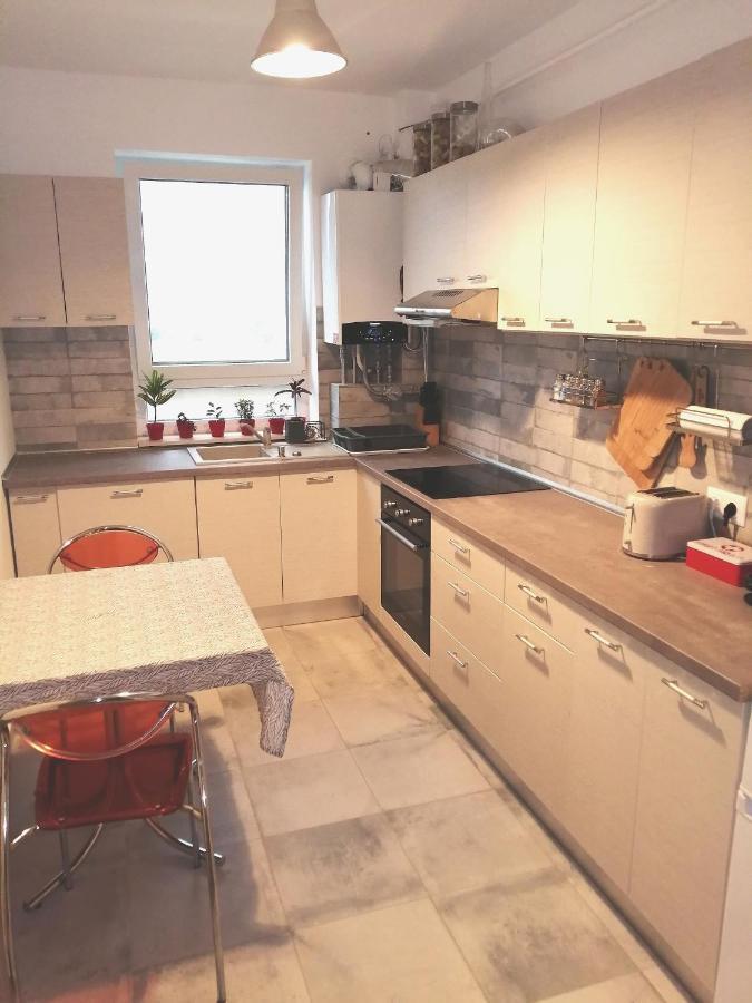 Maurer Loft Διαμέρισμα Târgu-Mureş Εξωτερικό φωτογραφία